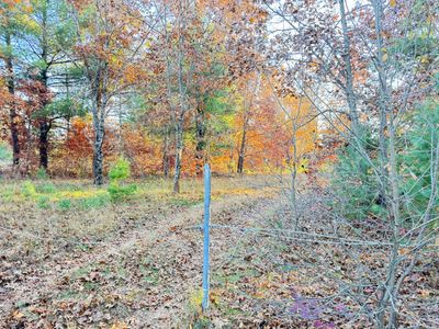 4.98ac E 58th Street, Home with 0 bedrooms, 0 bathrooms and null parking in Newaygo MI | Image 2