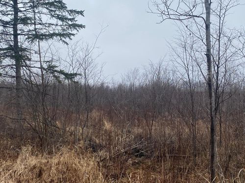 ON Shauger Rd, Ogema, WI, 54459 | Card Image