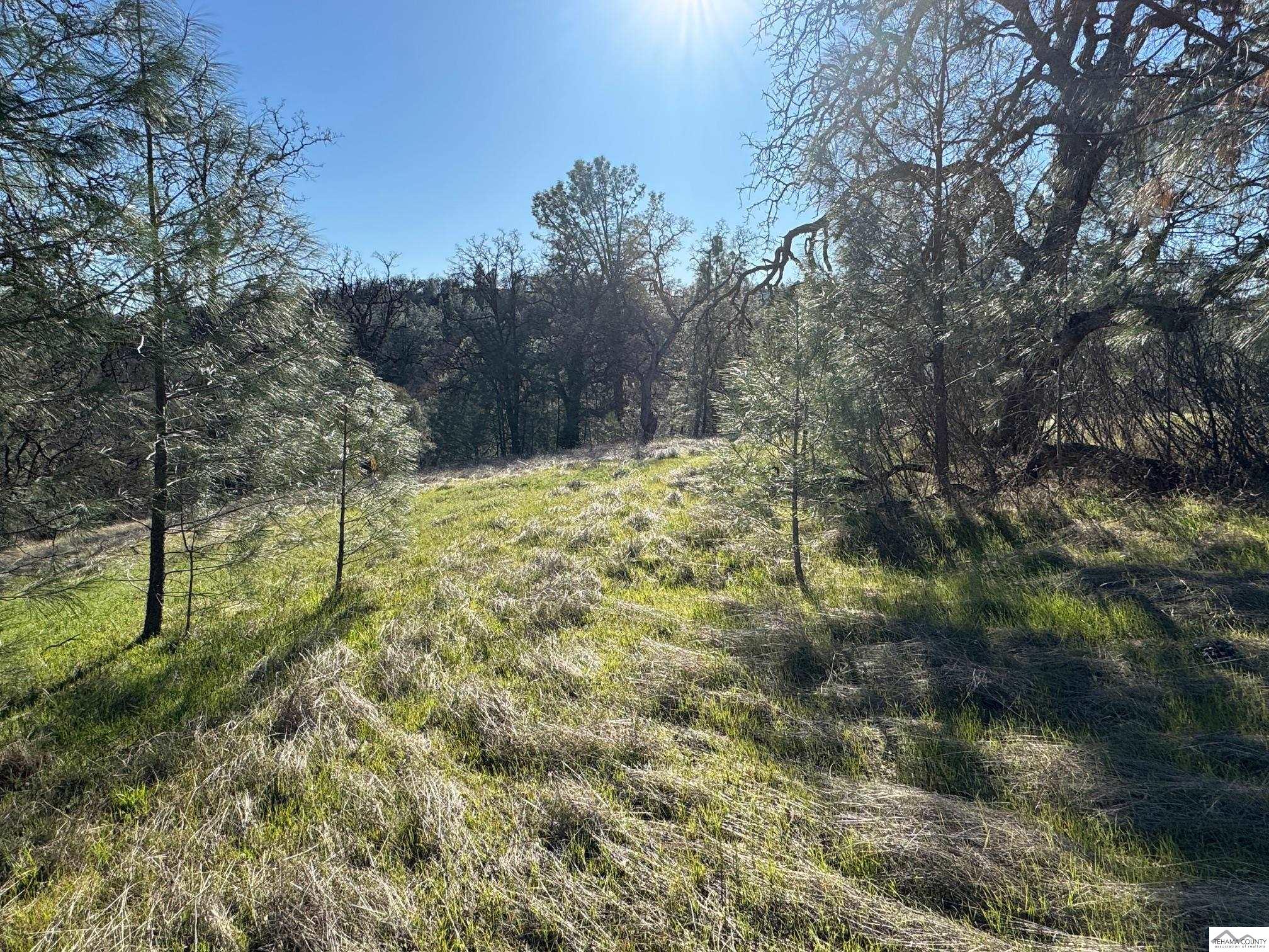 Land in Corning 3