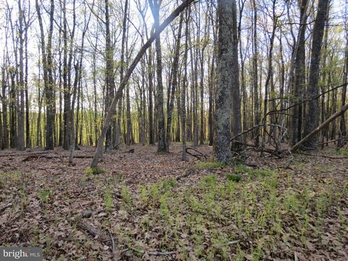 3 Deep Spring Rd, Petersburg, WV, 26847 | Card Image