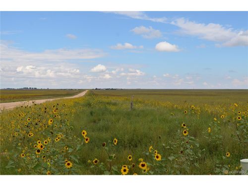 6 County Road 2, Rush, CO, 80833 | Card Image