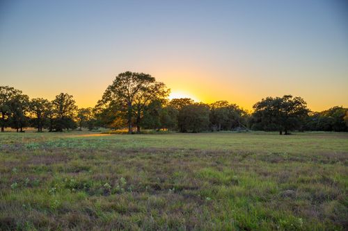 TBD Cummins Creek Rd, New Ulm, TX, 78950 | Card Image