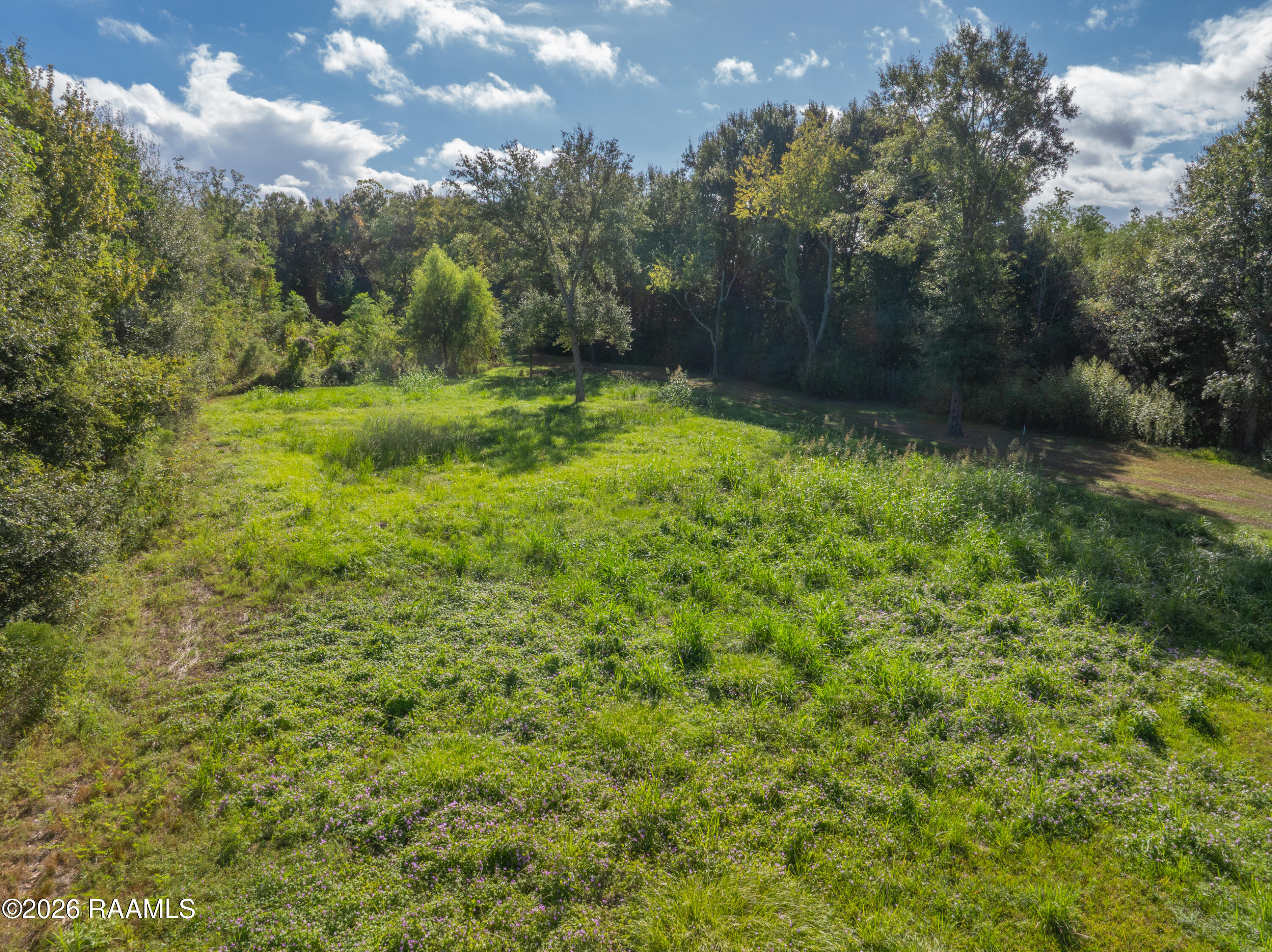 Land in Lafayette 3