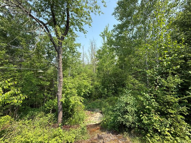 W3260 Sheep Ranch Rd, House other with 1 bedrooms, 0 bathrooms and 6 parking in Phillips WI | Image 15