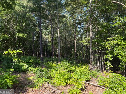 lot-11-0 Anna Claire Dr, Monticello, GA, 31064 | Card Image