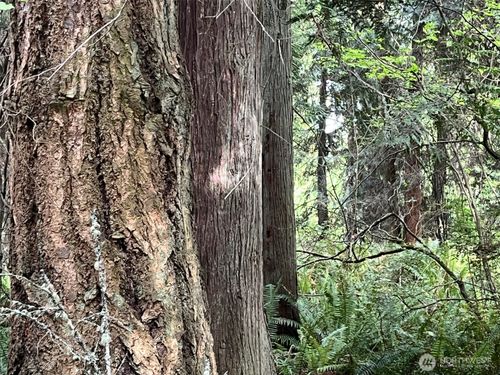 0 Hoffman Rd Ne, Kingston, WA, 98346 | Card Image