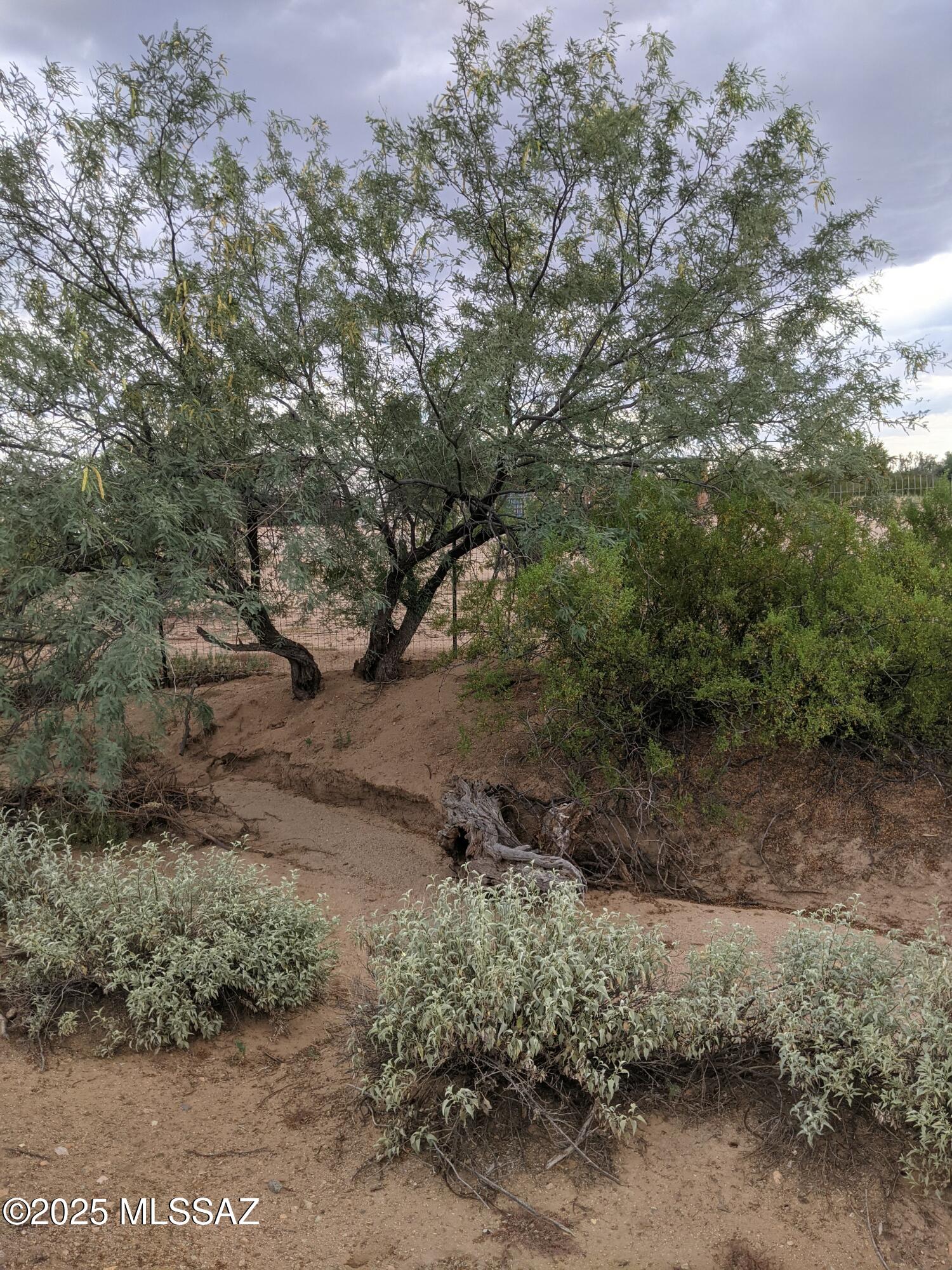 Land in Tucson 2