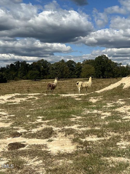 1925 Bunnlevel Erwin Rd, Bunnlevel, NC, 28323-8915 | Card Image