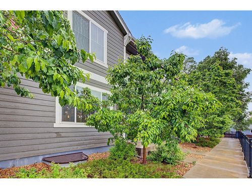 d-3502 Big Ben Dr, Fort Collins, CO, 80526-3011 | Card Image