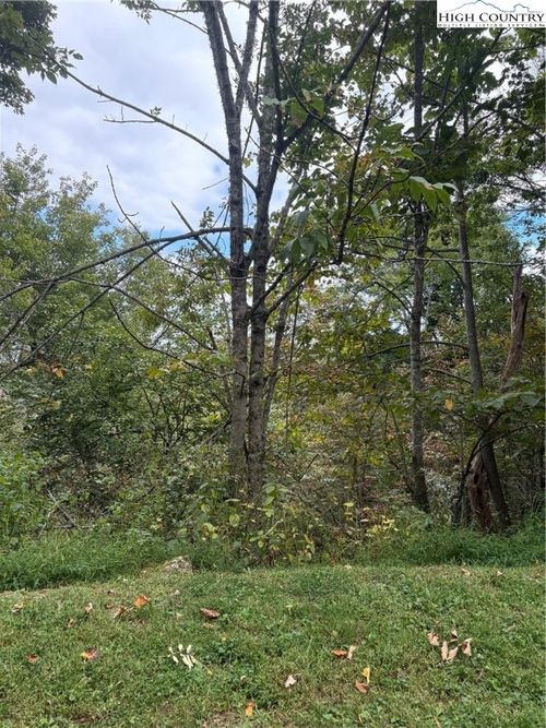 TDB Nettles Ridge Rd, Banner Elk, NC, 28604 | Card Image