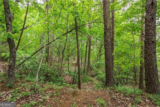 0 Terrace Way, Home with 0 bedrooms, 0 bathrooms and null parking in Jasper GA | Image 11