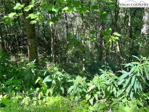 7 Old Barn Rd, Vilas, NC, 28692 | Card Image