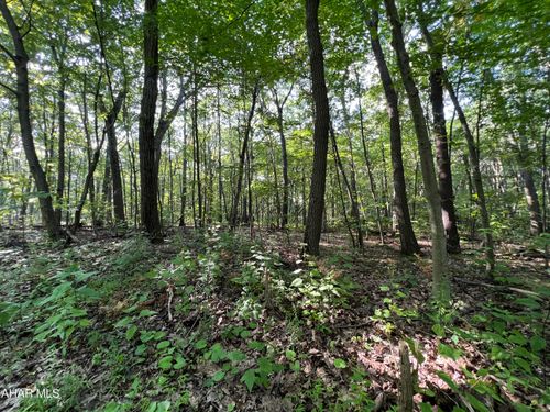 117118 Overland Pass, Claysburg, PA, 16625 | Card Image