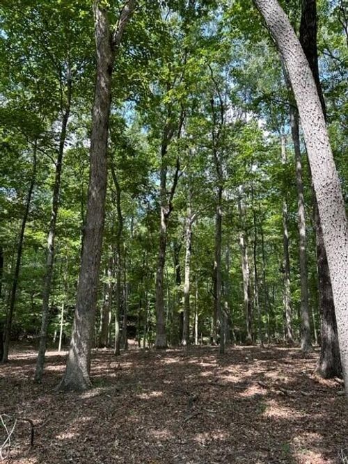 1 Eaglerock Rd, Monteagle, TN, 37356 | Card Image