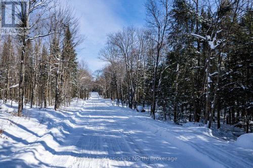 0 S Horn Lake Rd, Burks Falls, ON, P0A1C0 | Card Image