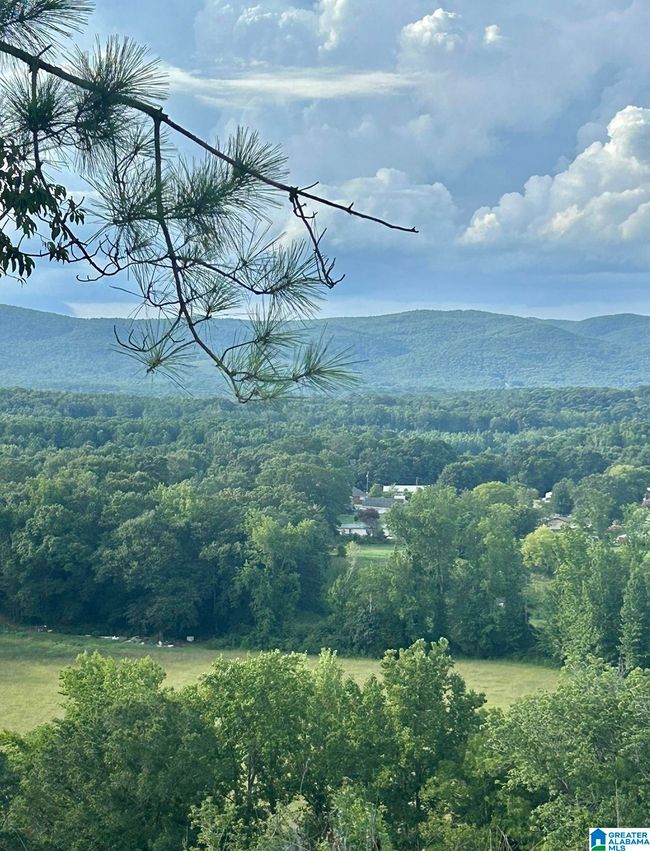 7 - 0 Cider Forest Dr, Home with 0 bedrooms, 0 bathrooms and null parking in Oxford AL | Image 4
