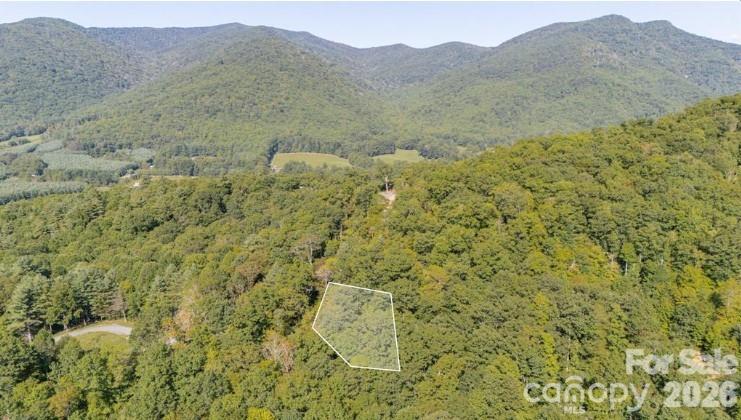 Land in Spruce Pine 2