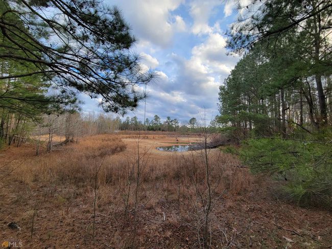 2757 Us Highway 1 N, Home with 0 bedrooms, 0 bathrooms and null parking in swainsboro GA | Image 26