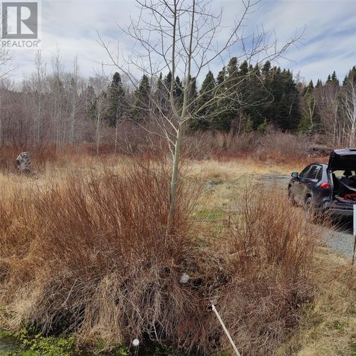 229 Main St N, Glovertown, NL, A0G2L0 | Card Image