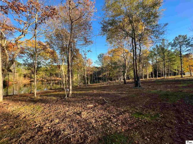 0 Henry Rd, Home with 0 bedrooms, 0 bathrooms and null parking in Dubach LA | Image 5