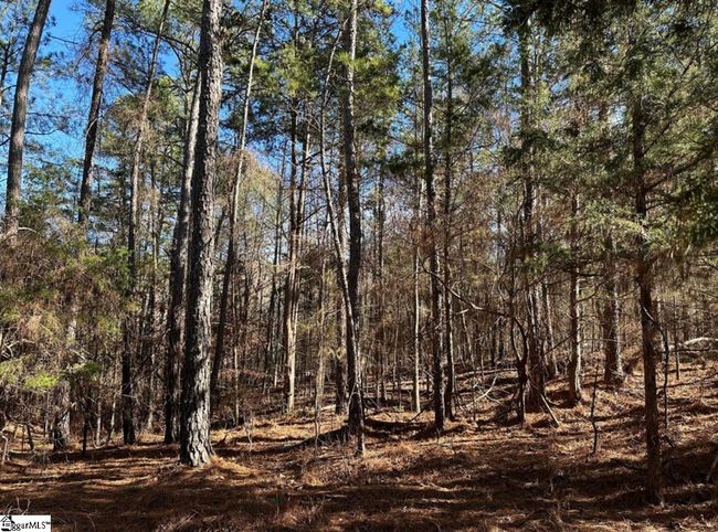 00 Terrapin Pointe Rd, Home with 0 bedrooms, 0 bathrooms and null parking in Hodges SC | Image 4