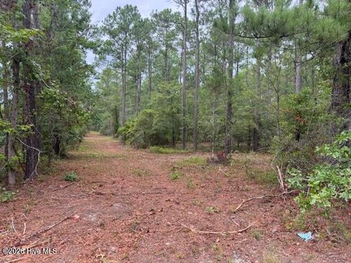 0 Nc Highway 210, Currie, NC, 28435 | Card Image