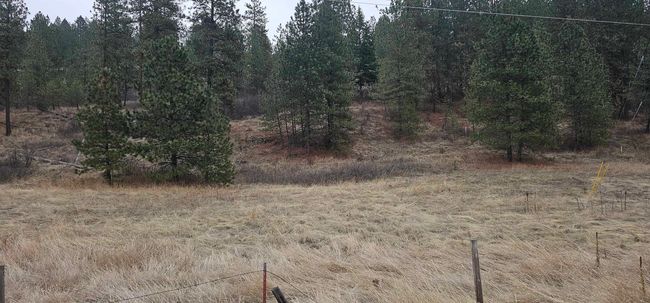 3312X Daisy Mine Rd, Home with 0 bedrooms, 0 bathrooms and null parking in Rice WA | Image 5