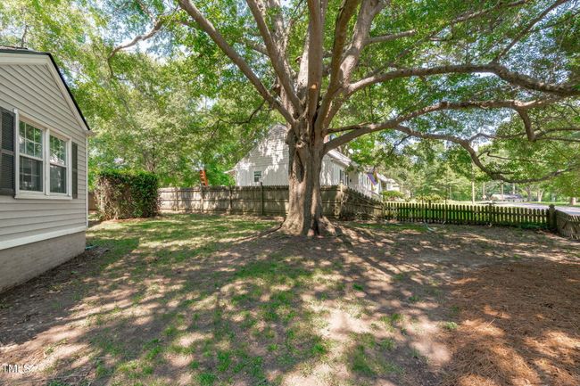 Side Yard | Image 34