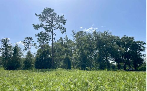 000 99th Dr, Mc Alpin, FL, 32062 | Card Image