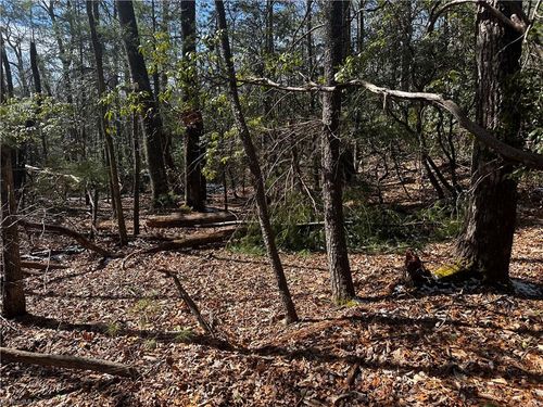 3 Timber Ridge Ln, Millers Creek, NC, 28651 | Card Image