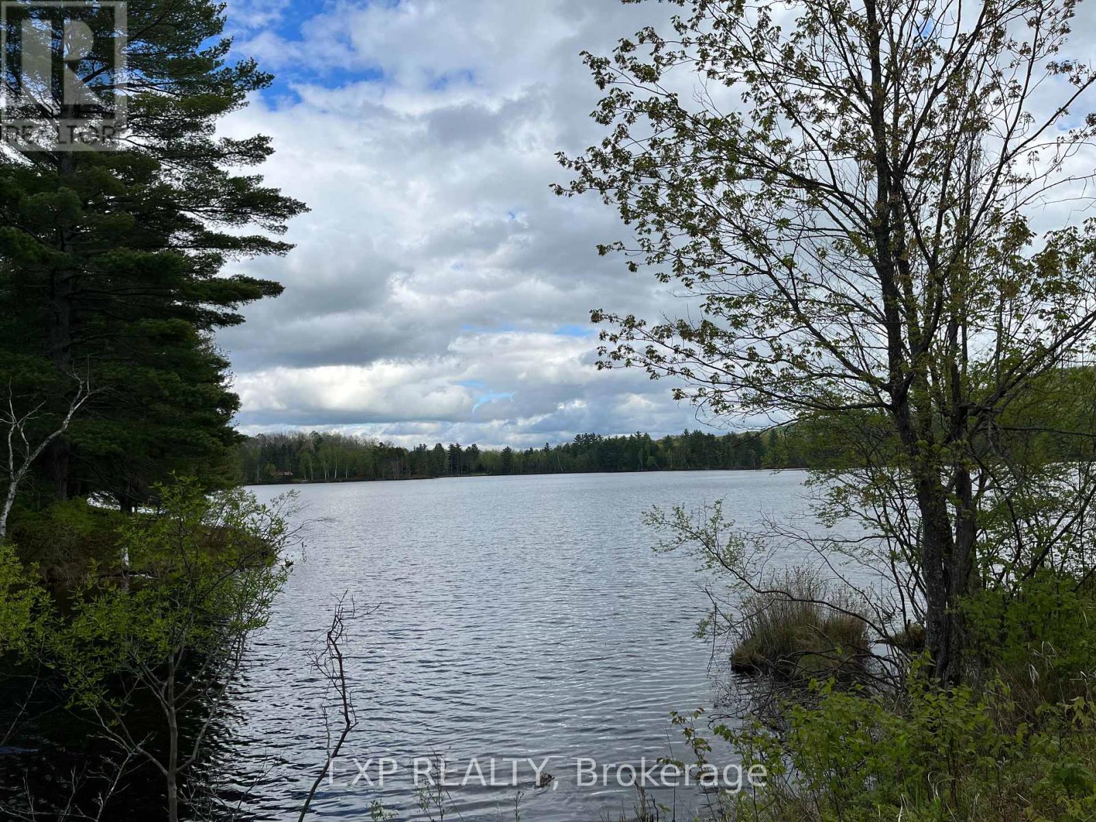 Land in Madawaska Valley 3