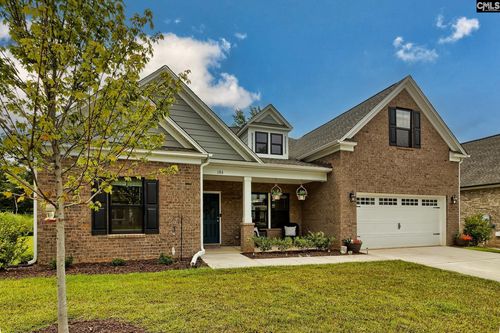 186 Collins Cove Dr, Chapin, SC, 29036-9873 | Card Image