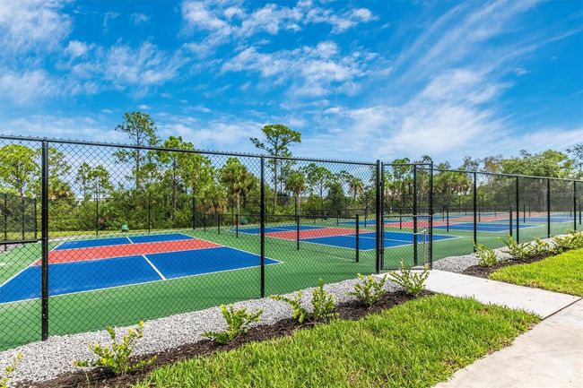 pickleball | Image 66