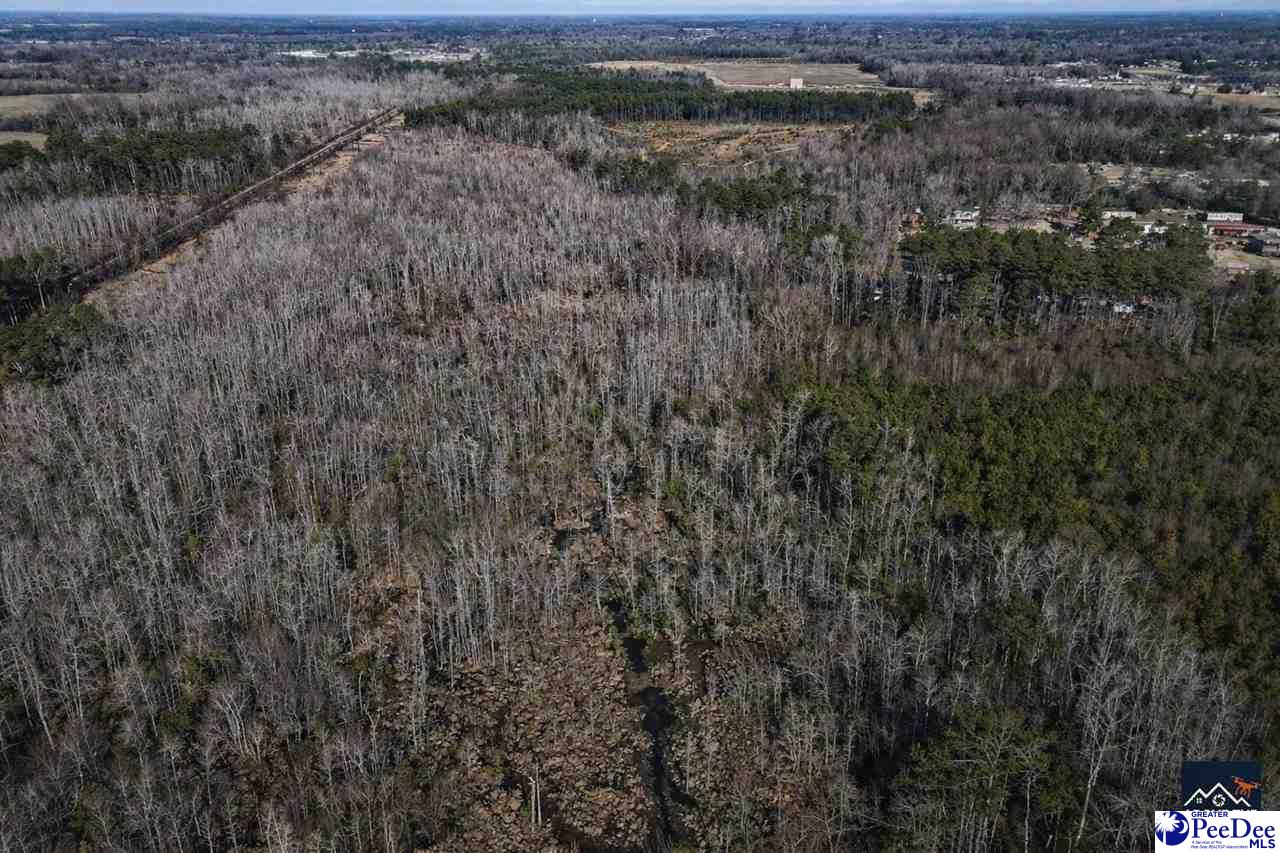 Land in Dillon 4