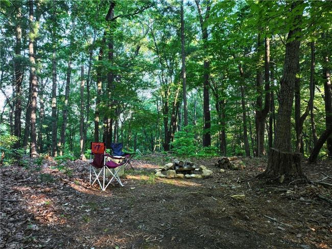 1440 Webb Mountain Rd, Home with 0 bedrooms, 0 bathrooms and null parking in Boones Mill VA | Image 10