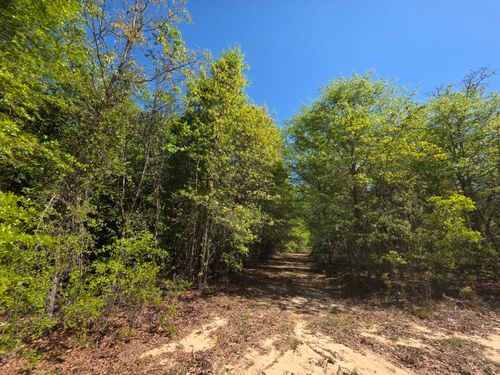 Lot 1 Briarwood Dr, Williston, SC, 29853-5462 | Card Image