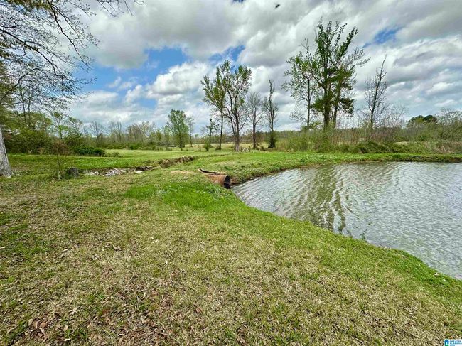 12325 Us Highway 411 N, House other with 3 bedrooms, 3 bathrooms and null parking in Centre AL | Image 51