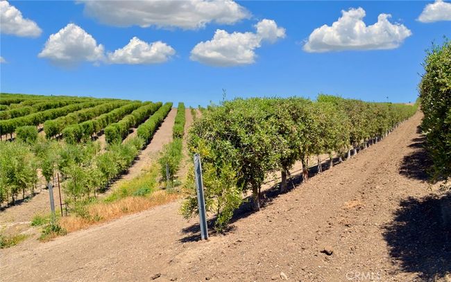 6320 Von Dollen Rd, Home with 0 bedrooms, 0 bathrooms and null parking in San Miguel CA | Image 27