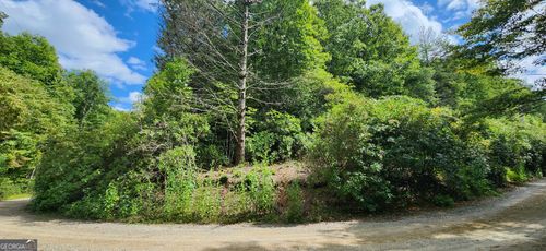 LT 17 & 18 Donna Lee Ln, Mineral Bluff, GA, 30559 | Card Image