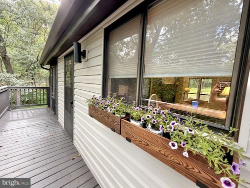 647 The Woods Rd, HEDGESVILLE, WV, 25427-6163 | Card Image