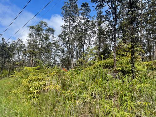 11-3821 Nahelenani, VOLCANO, HI, 96785-8901 | Card Image