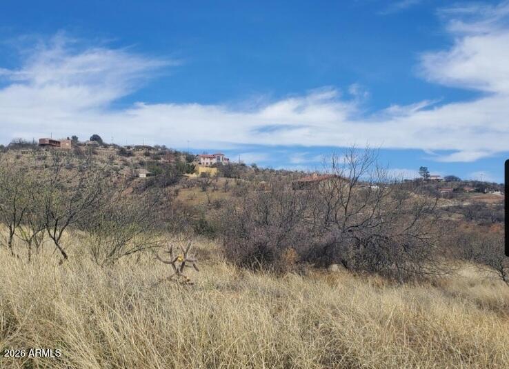 Land in Rio Rico 2