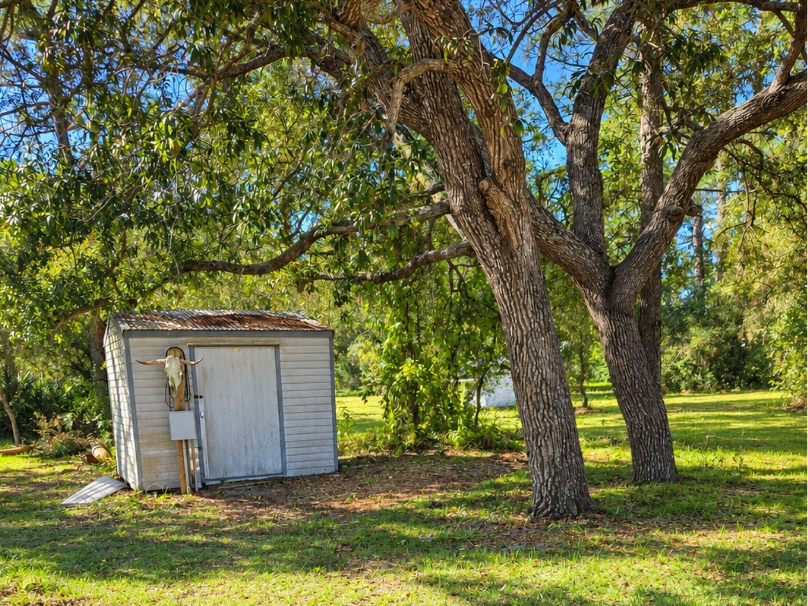 Residential in HOMOSASSA 4