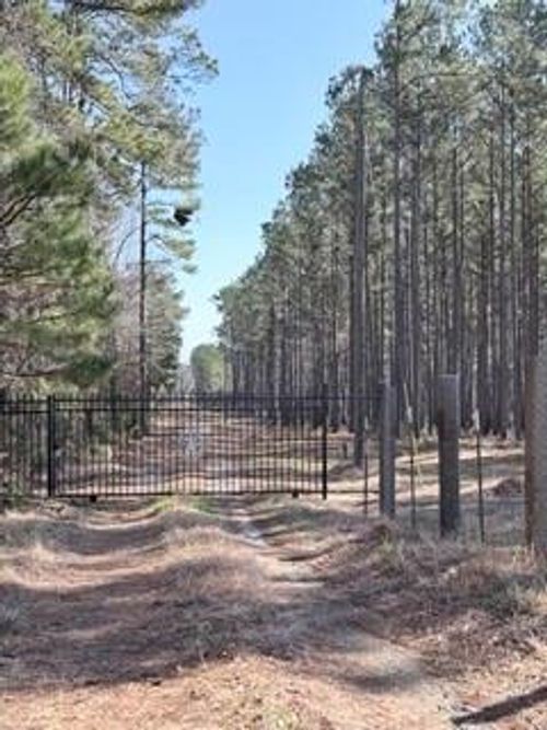 2878 Fm 256 N, Woodville, TX, 75979 | Card Image