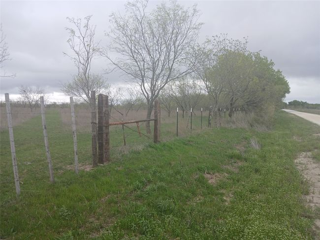 1753 Hcr 3242, Home with 0 bedrooms, 0 bathrooms and null parking in Mount Calm TX | Image 4