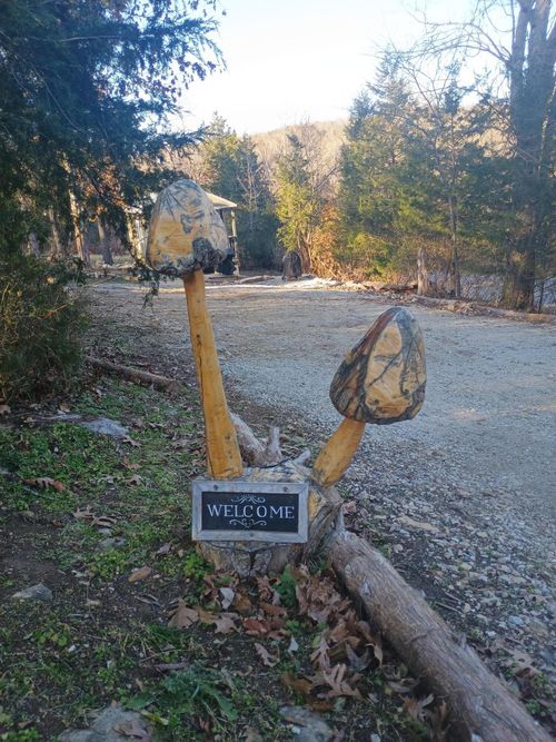 485 State Highway Ee, Rockaway Beach, MO, 65740-4201 | Card Image