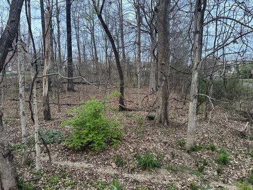 0 Canary Dr, Dickson, TN, 37055 | Card Image