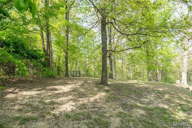 16747 Chalk Bluff Trl, House other with 4 bedrooms, 4 bathrooms and 2 parking in Dexter MO | Image 31