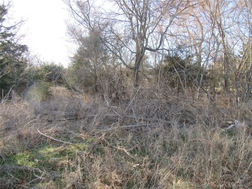 0 Daffodil Piney Creek 10, Longtown, OK, 74462 | Card Image