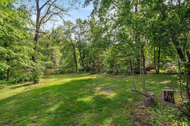 View of grassy yard | Image 21